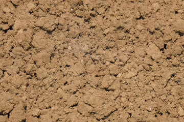 Background of rough texture of hoed soil. Dry agricultural land in the dry season. For graphic design, 3D rendering and banners