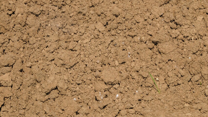 Background of rough texture of hoed soil. Dry agricultural land in the dry season. For graphic design, 3D rendering and banners