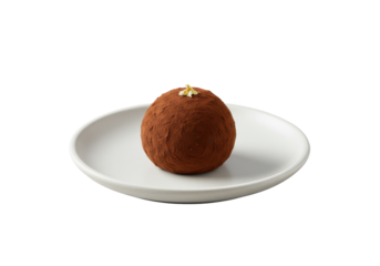 Macro shot of a spherical dark chocolate ganache truffle with cocoa powder and gold leaf, on a minimalist white ceramic plate, seamless transparent background, 45-degree angle. Concept of quiet luxury