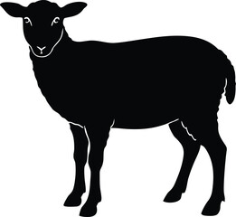 lamb vector, woolly creature illustration 