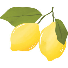 Lemon fruit hand drawn transparent background