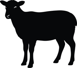 sheep icon, farm animal design