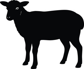 sheep standing silhouette, livestock vector art