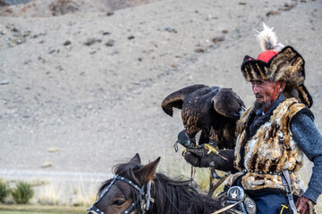 An experienced old golden eagle hunter trains his golden eagle and prepares it for hunting in the Mongolian steppes