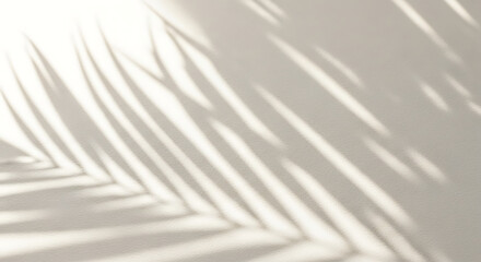 Obraz premium Illustration of shadows of palm leaves cast on a textured light surface, creating a serene and natural abstract pattern