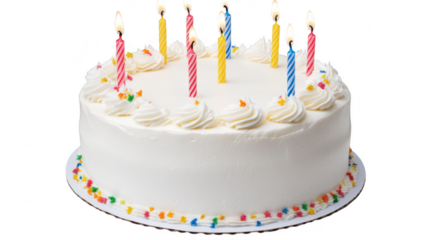 A beautifully decorated birthday cake with colorful frosting. topped with lit candles. set against a plain white background. perfect for celebration and party-themed events