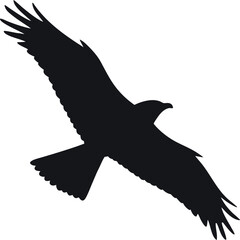 silhouette  of a flying bird