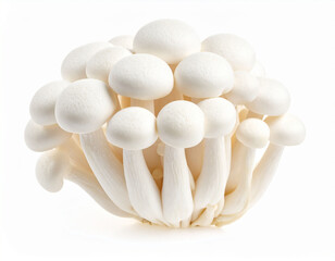 White Beech Mushrooms