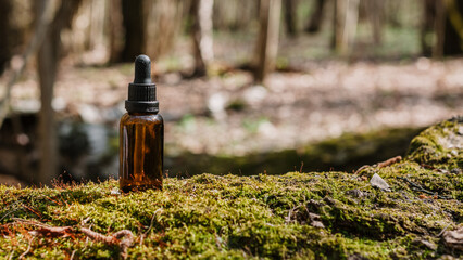 A dark and light glass serum bottle with a dropper, tree bark wood, moss. forest on a sunny day nature background. Concept of skin care, hydration, cosmetic demonstration eco-friendly product mock up