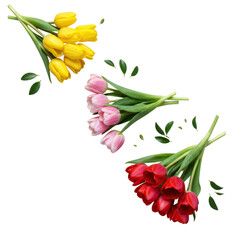 Fresh yellow, pink, and red tulip bouquets with dewy green leaves, isolated on transparent, soft studio lighting, flat lay, elegant floral product photography concept