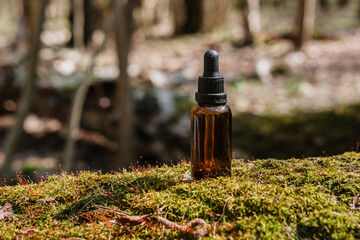 A dark and light glass serum bottle with a dropper, tree bark wood, moss. forest on a sunny day nature background. Concept of skin care, hydration, cosmetic demonstration eco-friendly product mock up