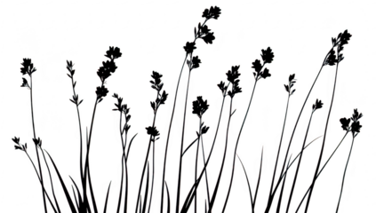 A silhouette of tall lavender plants swaying gently in the breeze against a white background. creating a serene and calming atmosphere. ideal for nature-themed designs and backgrounds