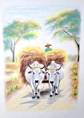 Rural scene showing farmer transporting hay on a cart pulled by two white oxen animals