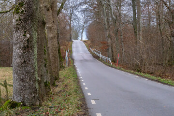 A picture of a road going through a winter dry landscape in Scandinavia. December in Scania County, southern Sweden