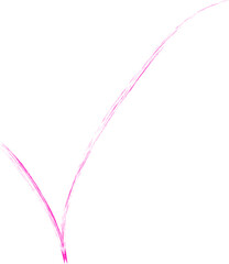 Scribbled, organic and textured line forming a Check symbol