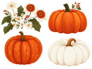 Artistic Composition of Vibrant Pumpkins and Floral Elements Set on transparent background for Fall-Themed Decor