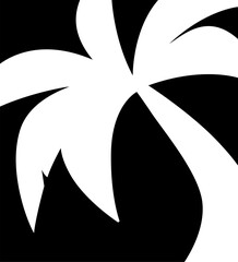 Plam tree vector illustration