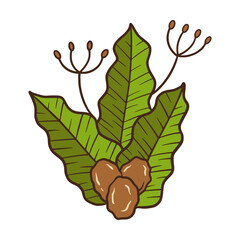 Hand Drawn of  Leaves and Coffee Beans