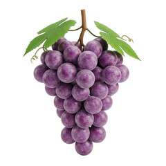 Fototapeta premium Fresh purple grapes isolated on transparent background