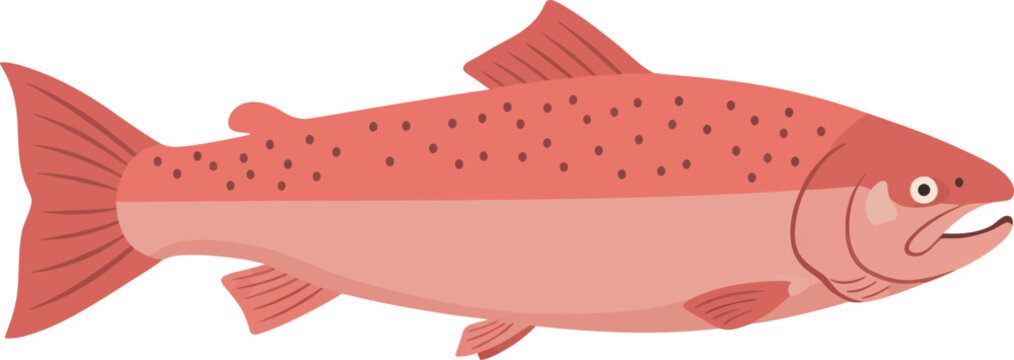 Vibrant red salmon fish swimming underwater aquatic wildlife nature aquatic animal isolated on transparent background