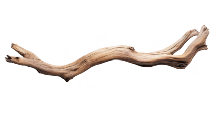 A beautifully twisted piece of driftwood natural textures and colors. ideal for home decor or artistic arrangements. set against a clean white background emphasizing its organic shape