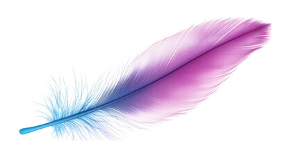 A delicate feather a gradient of purple and blue hues. gently resting against a clean white background. ideal for nature-themed designs or artistic projects