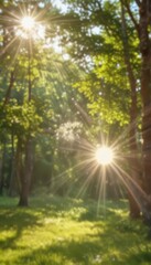 Obraz premium Blurred summer sunbeams, vibrant bokeh circles on abstract backdrop, bokeh, image, art