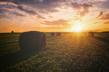 Sunset over hay bales in a field. Golden light bathes the landscape, creating a tranquil scene. For agriculture, travel and inspiring greeting card designs. Vintage film aesthetic.