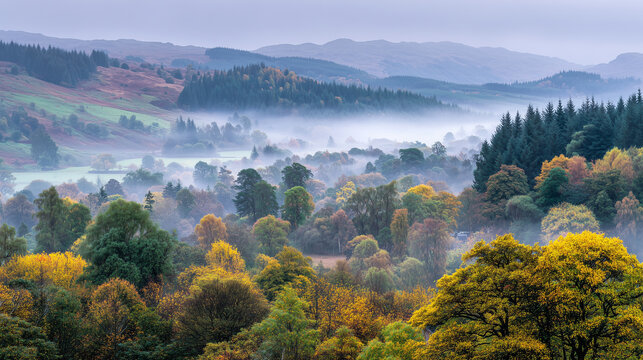 misty autumn morning in the scottish landscape, rolling hills and dense forests cover an endless expanse. picturesque scene of nature's beauty. the fog hovers over trees, early sunlight. enchanting ch