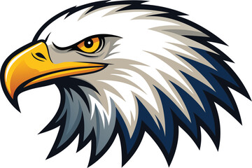 Fototapeta premium american bald eagle head vector illustration