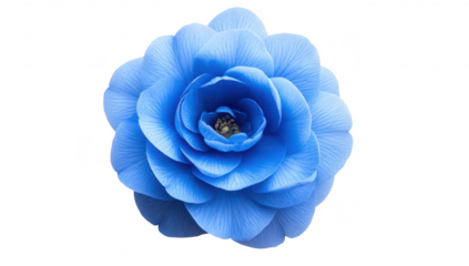 A stunning blue flower with intricate petals displayed against a clean white background. emphasizing its color and delicate details. ideal for nature-themed projects or decor
