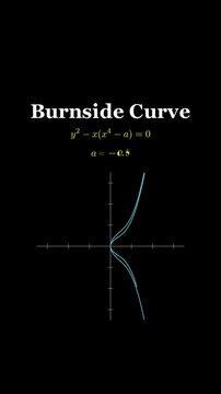The Mathematical Beauty of Burnside Curve: A Fascinating Visualization of Implicit Quartic Algebraic Equation