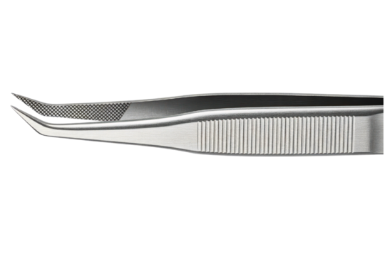 Professional stainless steel tweezers with curved fine tips isolated with transparent background