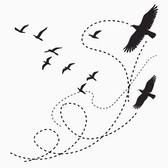 Silhouette birds flying with dashed flight paths