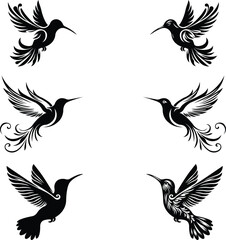 hummingbird vector silhouette design set, elegant hummingbird vector art collection