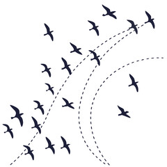 Flock of birds flying in formation with dashed lines