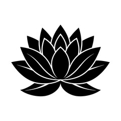 water lily vector illustration