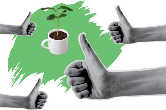 growing on earth art collage