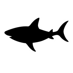shark vector illustration
