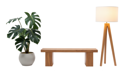 Stylish interior scene featuring wooden bench, potted plant, and modern floor lamp, creating cozy atmosphere