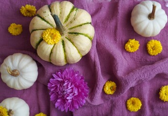 Autumn Harvest with Pumpkins and Flowers on Textured Fabric