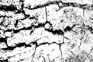 White Cracked Paint Texture. Close-up of cracked paint texture with high contrast black details.