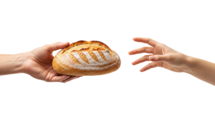 Hands exchanging a loaf of bread a gesture of giving and receiving, isolated on transparent background