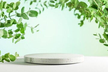 Empty Concrete Podium For Presentation With Green Eucalyptus Leaves. Concept of Organic Product Presentation, Eco Friendly Design Trends, Natural Beauty Branding, And Modern Cosmetic Visuals