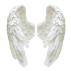 A stunning pair of ethereal white angel wings displayed against a soft. light background. symbolizing purity and freedom. perfect for use in spiritual or artistic contexts