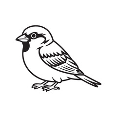 Black and white line drawing of a perched sparrow