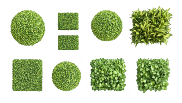 Aerial view of various green decorative plants arranged in different shapes including spheres. squares. and rectangles. foliage against a clean white background. ideal for nature-themed designs