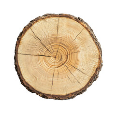 Obraz premium A close-up view of a natural wooden tree trunk slice its intricate growth rings and texture. isolated on a white background. ideal for nature-themed designs or organic product promotions