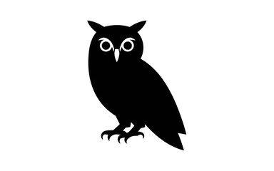 owl on white background