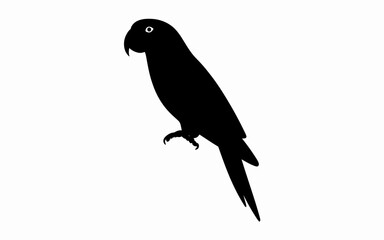 bird on a branch